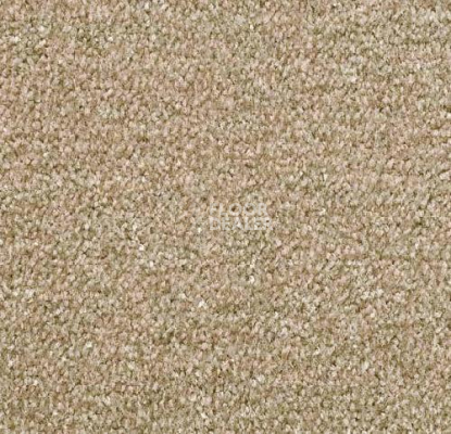 Ковролин Sintelon Dragon 10431 фото 1 | FLOORDEALER