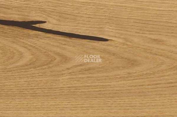 Пробковое покрытие Wood Xl замковое Oak Accent фото 1 | FLOORDEALER