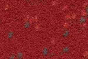 Ковролин Finett Vision Focus 505535 фото  | FLOORDEALER