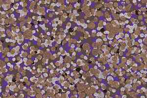 Ковролин Halbmond Tiles & More 4 tm 4-047-02 фото  | FLOORDEALER