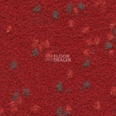 Ковролин Finett Vision Focus 505535 фото 1 | FLOORDEALER