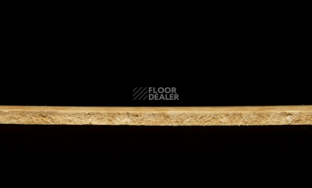 Tarkett iq Melodia 2643 фото 4 | FLOORDEALER