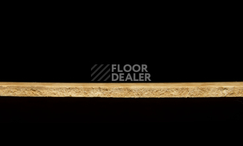 Tarkett iq Melodia 2643 фото 4 | FLOORDEALER