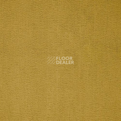 Ковролин Balta ITC Prominent 153 фото 1 | FLOORDEALER