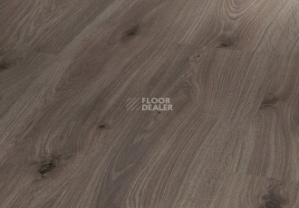 Ламинат Parador Basic Plus 400 V 1593796 Дуб Копченый Белый под Маслом фото 1 | FLOORDEALER