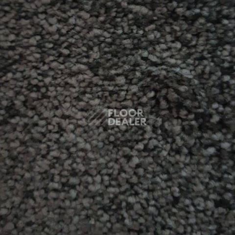 Ковролин Condor Carpets Dynasty 79 фото 1 | FLOORDEALER