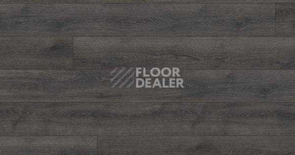 Ламинат Haro Tritty 200 Aqua Gran Via 4V ДУБ КОНТУРА ЧЕРНЫЙ 541579 фото 1 | FLOORDEALER