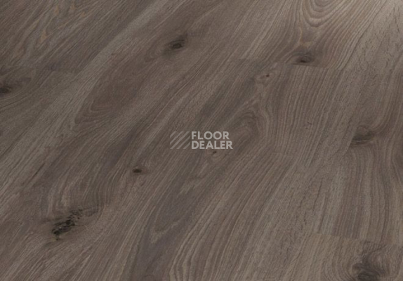 Ламинат Parador Basic Plus 400 V 1593796 Дуб Копченый Белый под Маслом фото 1 | FLOORDEALER