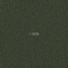 Desso Essence Pure ad 07 7841 фото 1 | FLOORDEALER