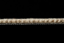 Creatuft Alfa Alfa 88 фото 4 | FLOORDEALER