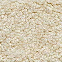 Ковролин Girloon Body1 811 фото 1 | FLOORDEALER