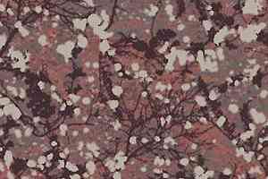 Ковролин Ege Highline Nature rf 5500607 фото  | FLOORDEALER