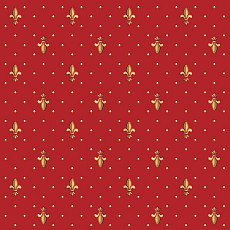 Ковролин Big Carus SE 002-21101 фото 1 | FLOORDEALER