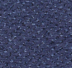 Ковролин Condor Carpets Argus 452 фото 1 | FLOORDEALER