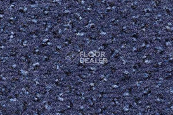 Ковролин CONDOR Carpets Argus 452 фото 1 | FLOORDEALER