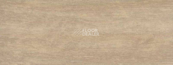 Плинтус Dollken EP 60/13 2664 фото 2 | FLOORDEALER