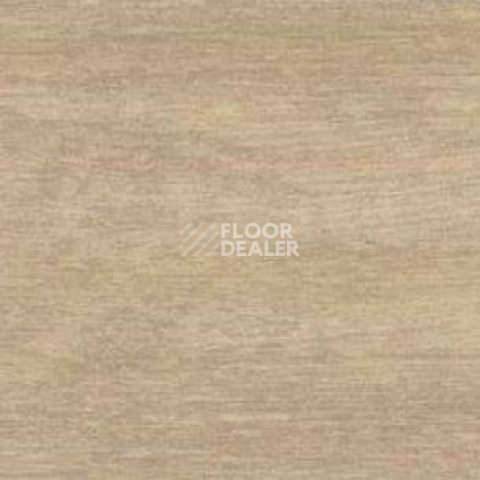 Плинтус Dollken EP 60/13 2664 фото 2 | FLOORDEALER