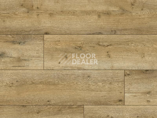 Ламинат Classen Arteo 8XL WR 54813 Nakuru Oak /8XL фото 1 | FLOORDEALER