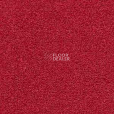 Ковролин Radici Montecarlo 1 фото 1 | FLOORDEALER