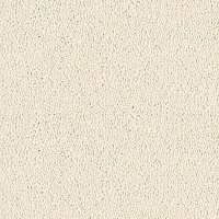 Sintelon Sensa 07068 фото 1 | FLOORDEALER