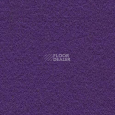 Ковролин Finet Vision Color 750161 фото 1 | FLOORDEALER