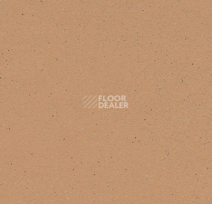 Линолеум Forbo SureStep balance 173952 blush фото 1 | FLOORDEALER