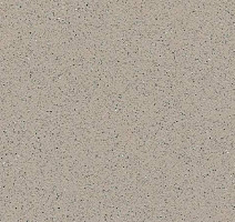 Линолеум Tarasafe Standard 7386_Savana фото 1 | FLOORDEALER