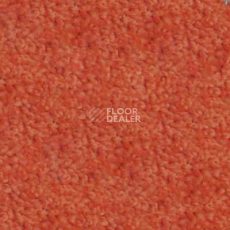 Ковролин Abracadabra Beaulieu of America 19 фото 1 | FLOORDEALER