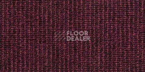 Ковролин Condor Carpets Pablo 235 фото 1 | FLOORDEALER