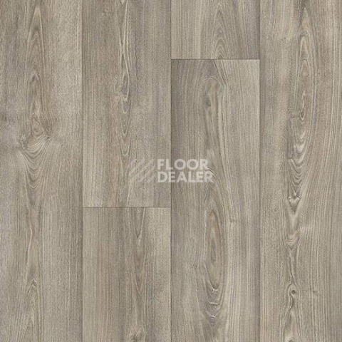 Ковролин Forbo Flotex Vision Naturals 010073 Heritage Plank фото 1 | FLOORDEALER