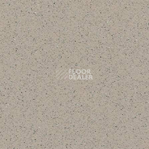 Линолеум Gerflor Tarasafe Standard 7386_Savana фото 1 | FLOORDEALER