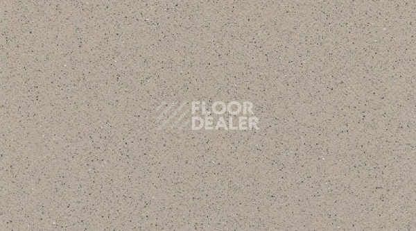 Линолеум Gerflor Tarasafe Standard 7386_Savana фото 1 | FLOORDEALER