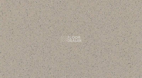 Линолеум Tarasafe Standard 7386_Savana фото 1 | FLOORDEALER