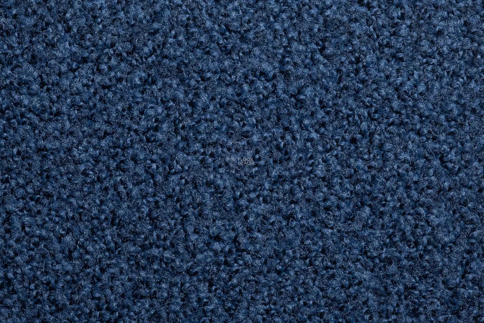 Vorwerk Exclusive1009/Elara 3l75 фото 2 | FLOORDEALER