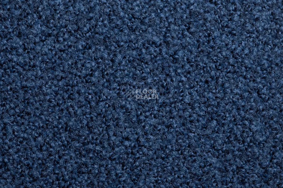 Vorwerk Exclusive1009/Elara 3l75 фото 2 | FLOORDEALER