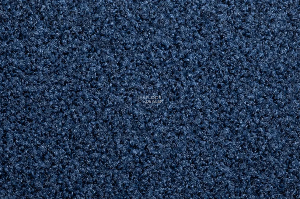 Vorwerk Exclusive1009/Elara 3l75 фото 2 | FLOORDEALER