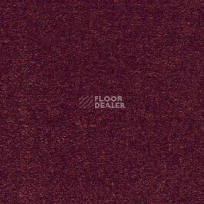 Ковролин AW Sauvage 11 фото 1 | FLOORDEALER
