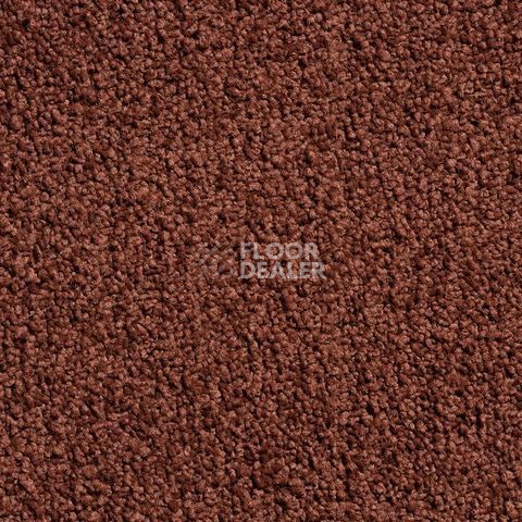 Ковролин Condor Crown Condor Crown  25 фото 1 | FLOORDEALER
