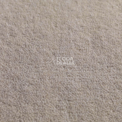 Ковролин Jacaranda Carpets Jaspur Cockle фото 1 | FLOORDEALER
