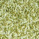 Ковролин Enigma Associated 21  | FLOORDEALER