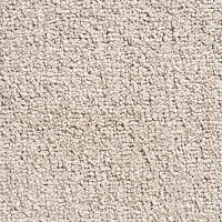 Ковролин Condor Crown Condor Crown  90 фото 1 | FLOORDEALER