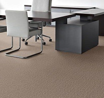 Desso Metallic Shades