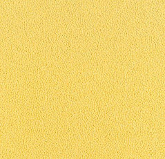 Ковровая плитка Westbond Ibond Natural 9859 фото 1 | FLOORDEALER