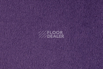 Ковролин Vorwerk Passion 1000/Modena Vorwerk 3d07 фото 1 | FLOORDEALER