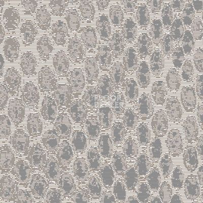 Ковролин Big Carus Sunrise 005-25151 фото 1 | FLOORDEALER