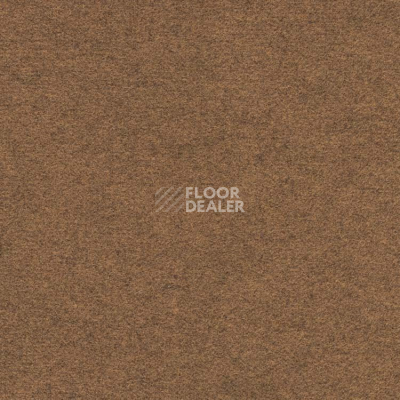Ковролин Finett Feinwerk 403504 фото 1 | FLOORDEALER