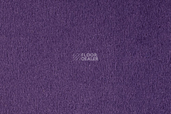 Ковролин Vorwerk Passion 1000/Modena Vorwerk 3d07 фото 1 | FLOORDEALER