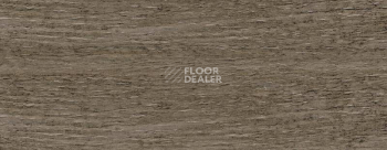 Плинтус Dollken EP 60/13 2409 фото 2 | FLOORDEALER