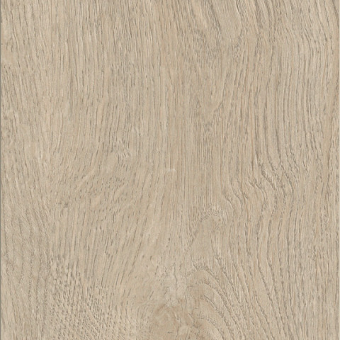 Kronotex Exquisit 8мм d41182 Дуб Горизонт кремовый фото 12 | FLOORDEALER