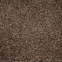 Ковролин Зартекс Tesoro Tesoro 156 Коричневый фото 1 | FLOORDEALER